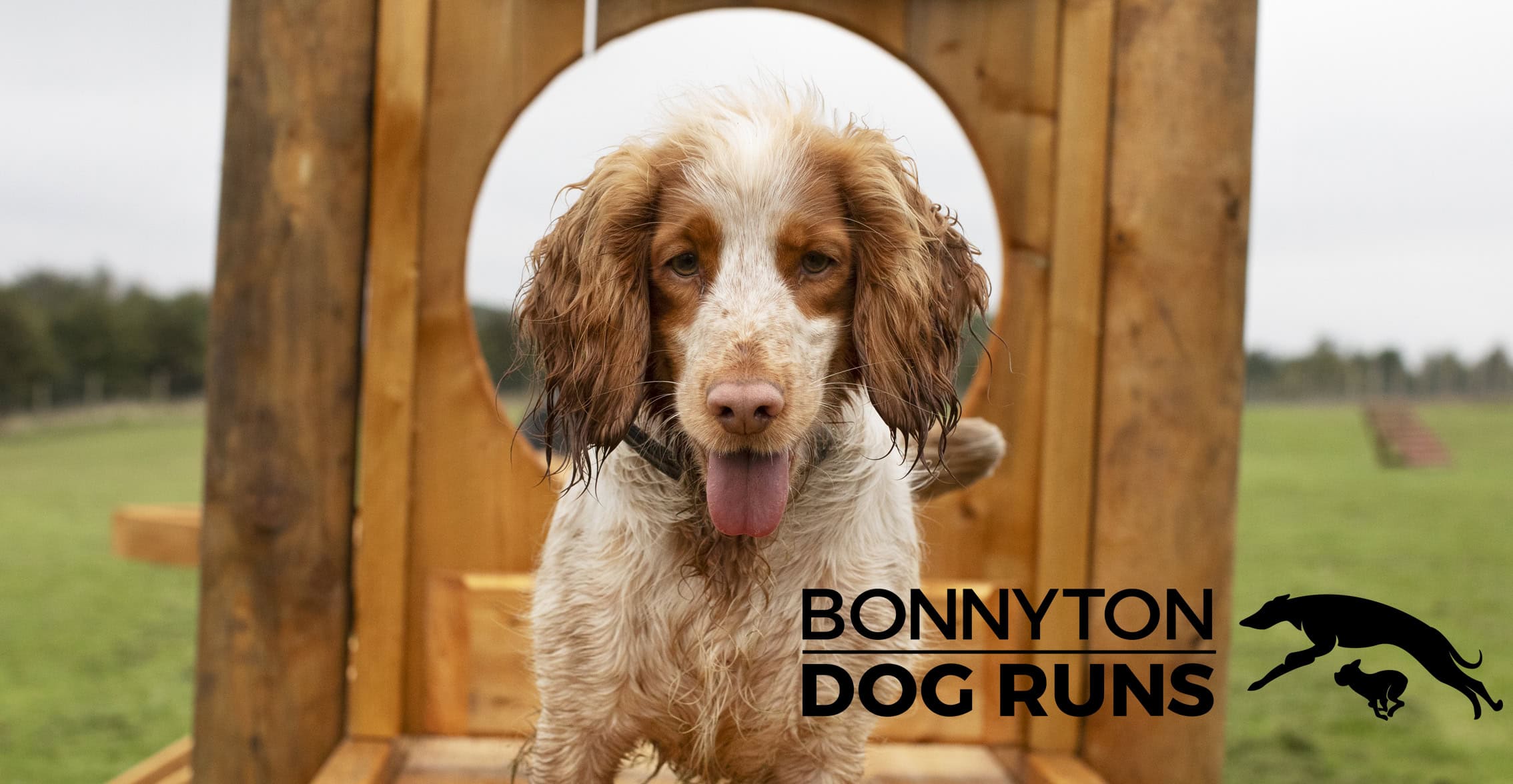 Bonnyton Dog Runs